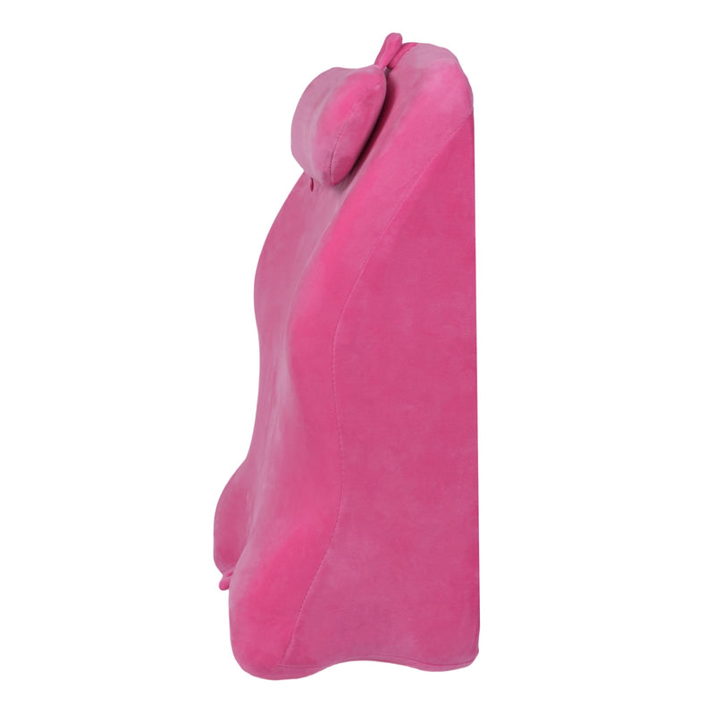 Ergonomic Spinal Posture Support Bed Pillow