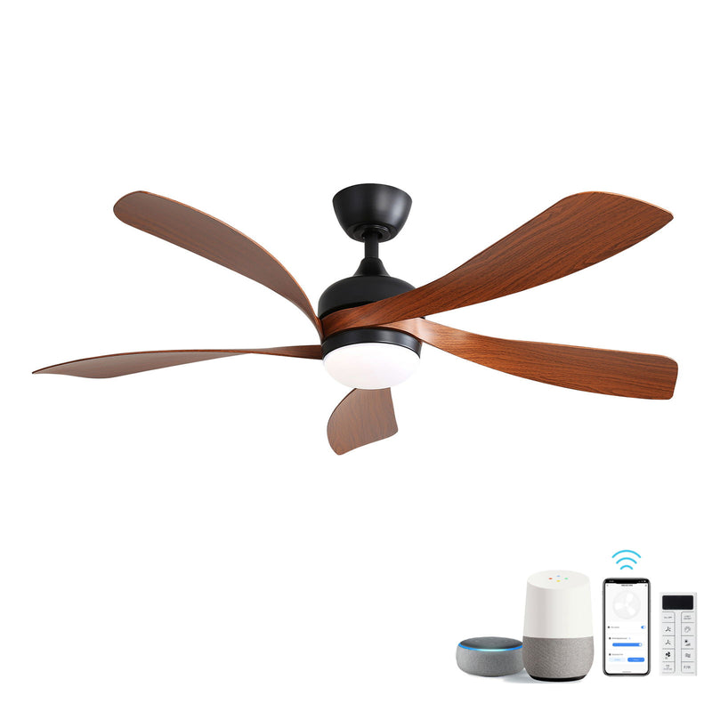 Ceiling Fan & DC Motor And Integrated Light
