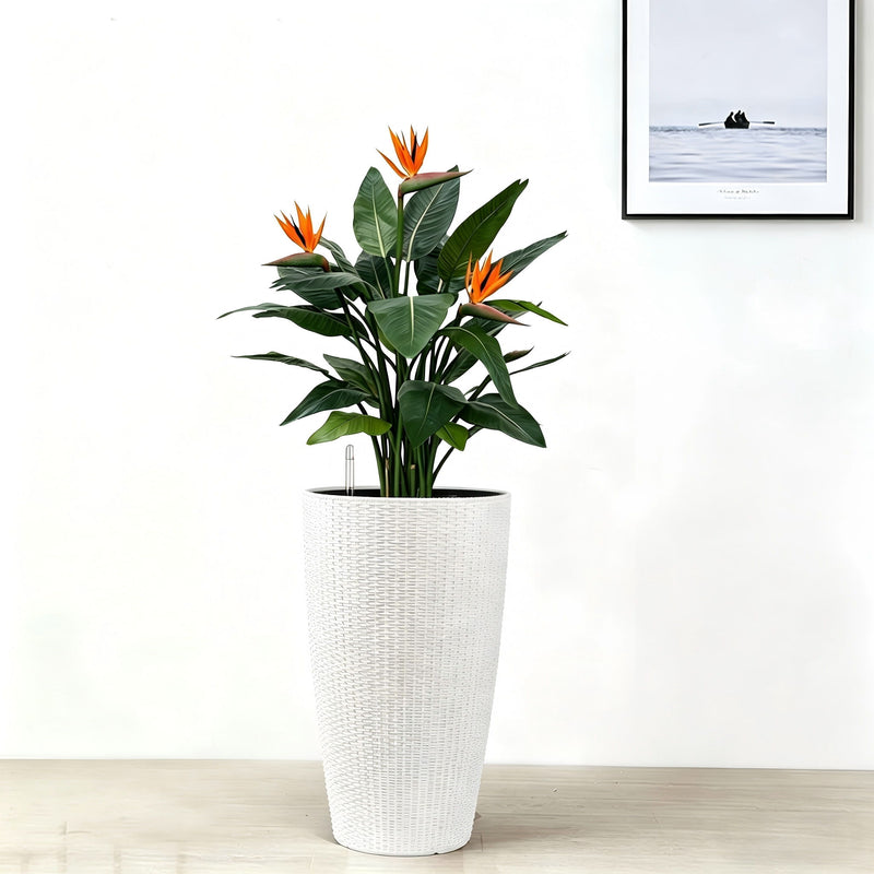 Tall Planters Set With Water Level Monitor And Auto Watering