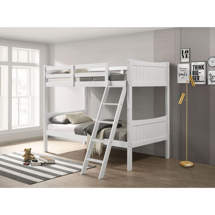 Sami - Bunk