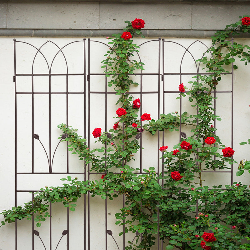Metal Garden Trellis Rustproof For Climbing Plants Outdoor Flower Support