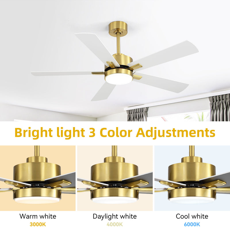 Reversible DC Motor Ceiling Fan With Dimmable LED Light For Living Room