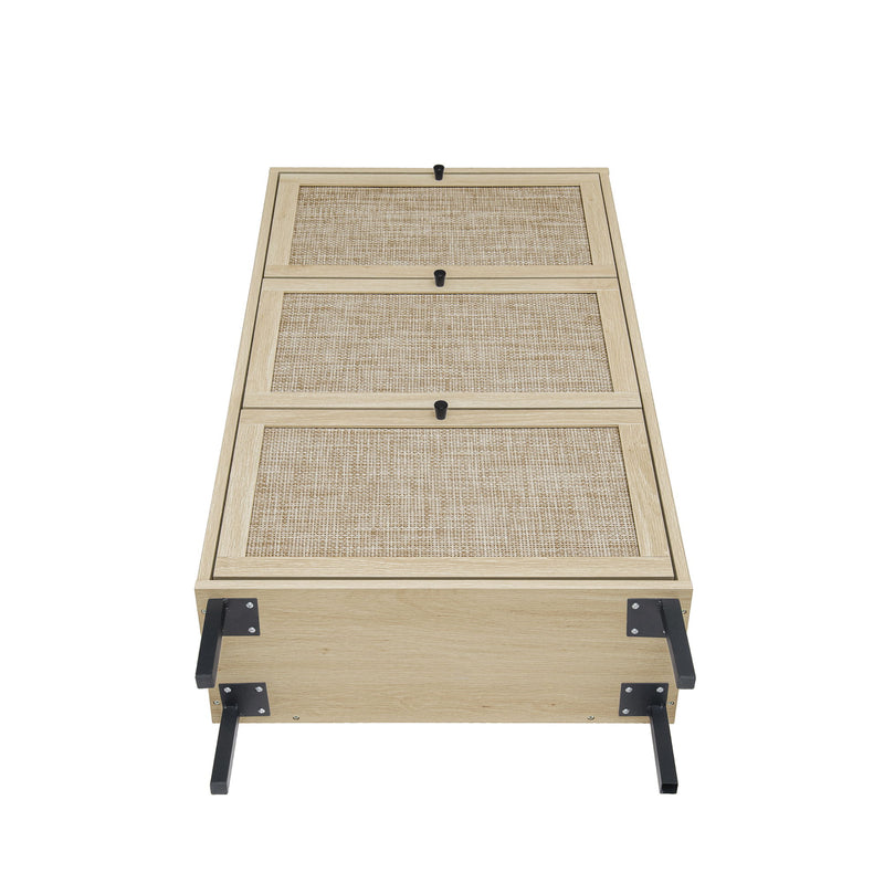 Modern Rattan 3 Door Shoe Rack Cabinet For Entryway