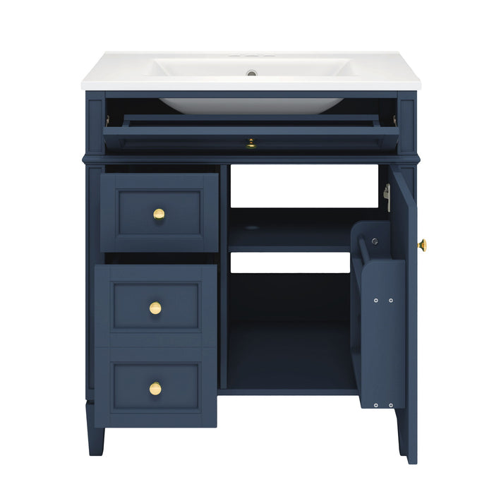 Bathroom Vanity With Top Sink, Storage Cabinet With 2 Drawers, Tip Out Drawer