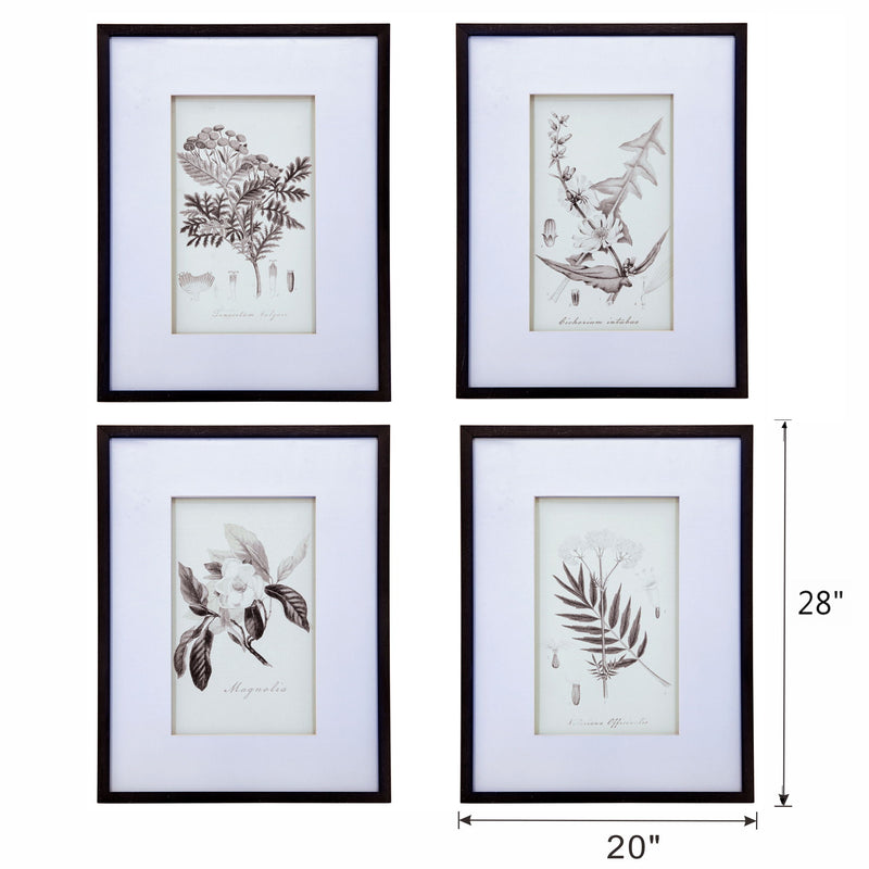 Botanical Wall Art Prints, Home Decor For Living Room Dining Room, Bedroom, Hallway (Set of 4) - White / Black