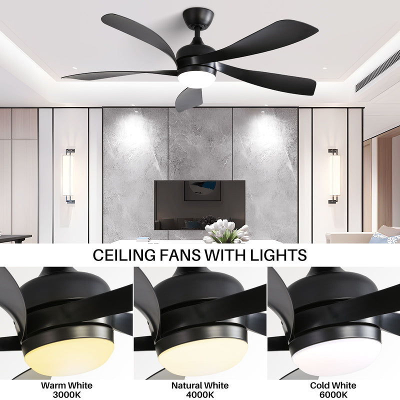 Ceiling Fan & DC Motor And Integrated Light