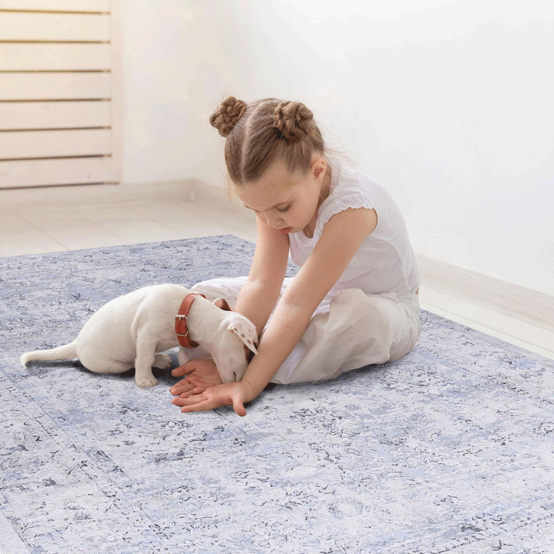 Maval - 6' X 9' Washable Area Rug - Blue / Cream