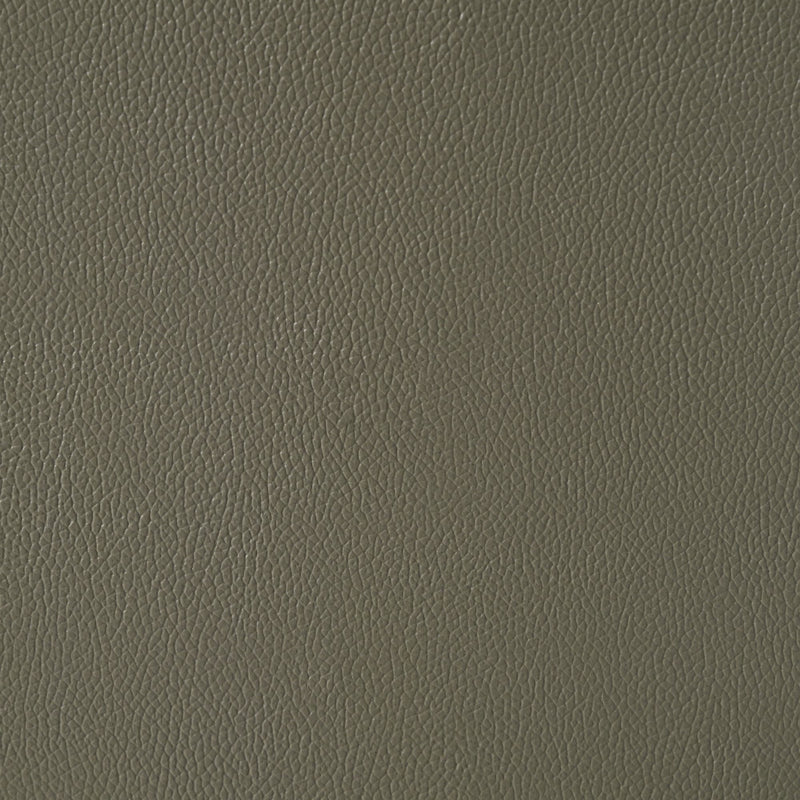 Wildcat - Motion Loveseat - Gray