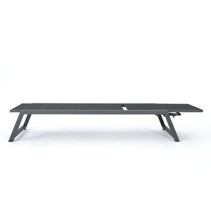 Myers - Modern Chaise Lounge Set With Adjustable Back