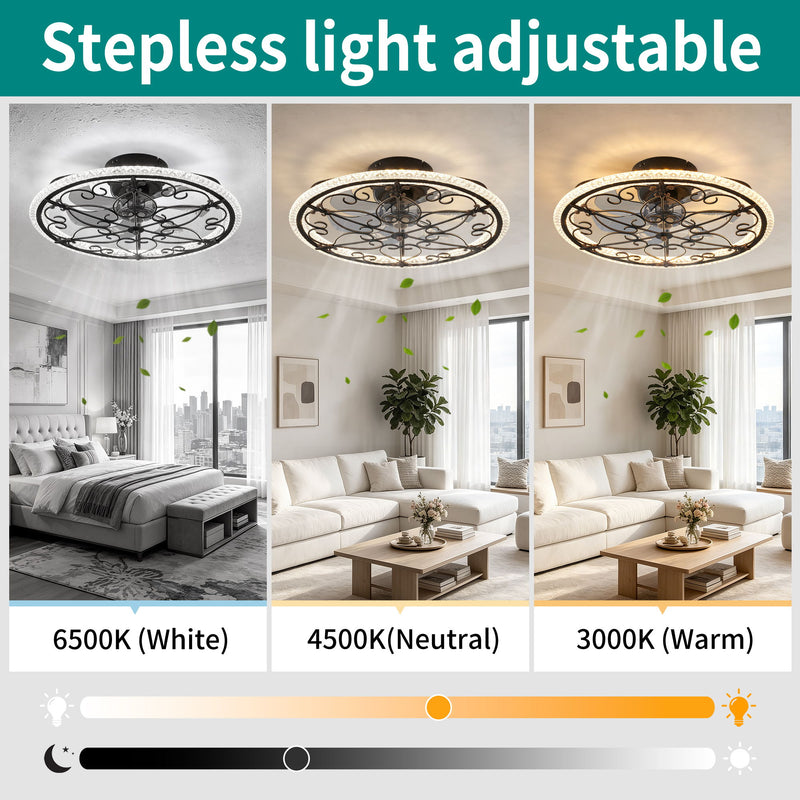 Caged Ceiling Fan With Remote Controlled LED Light - Matte Black