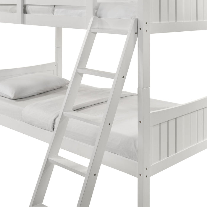 Sami - Bunk