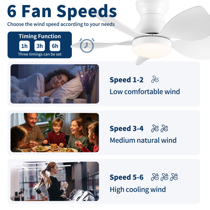 Low Profile Flush Mount Ceiling Fan With Light