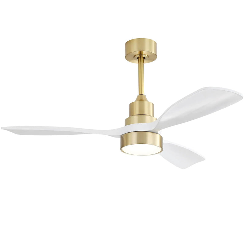 Indoor Ceiling Fan With Dimmable LED Light, 6 Speed Remote ControlLED DC Motor, Reversible Blades