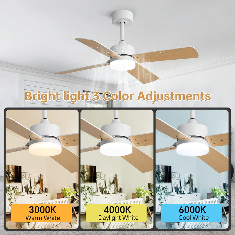 42" Ceiling Fan With Light And Memory Function, DC Reversible Motor, 4 Blades