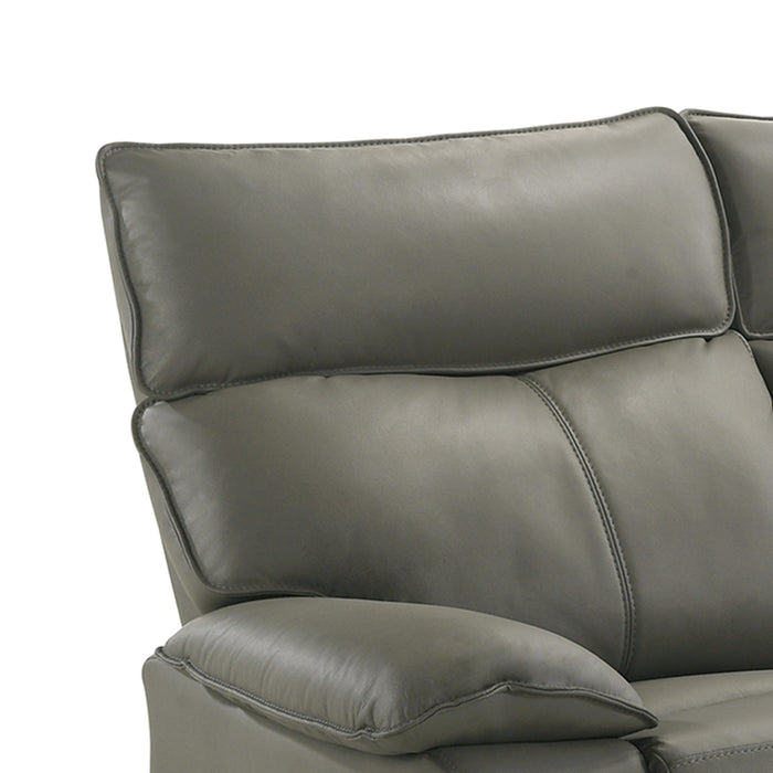 Wildcat Living Room Set in Aviarah Grey