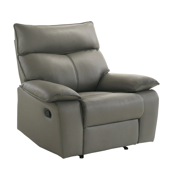 Wildcat Motion Recliner in Aviarah Grey