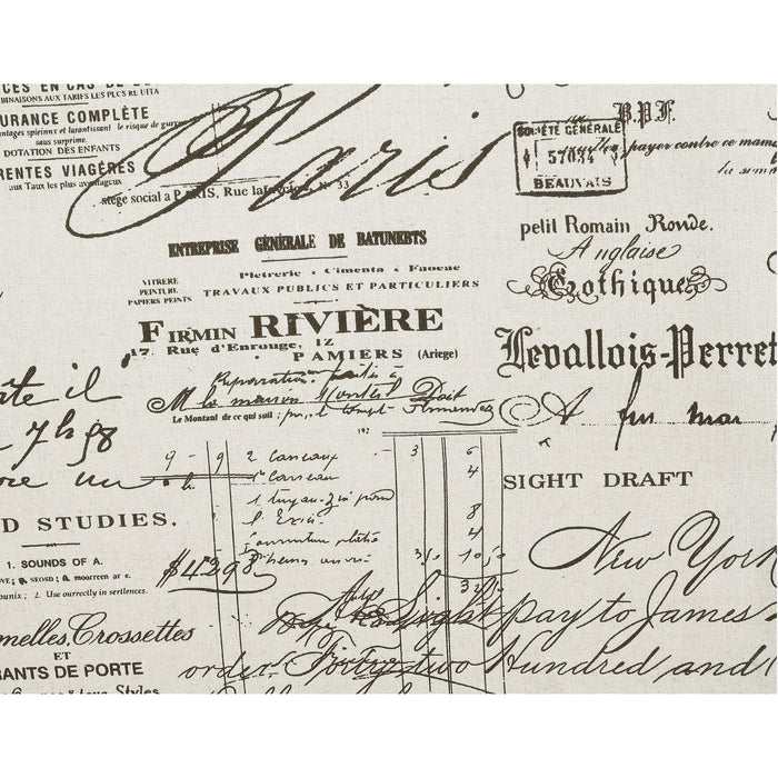 Erica 497 Chair W/Chrome Nails French Script (ISTA 3)