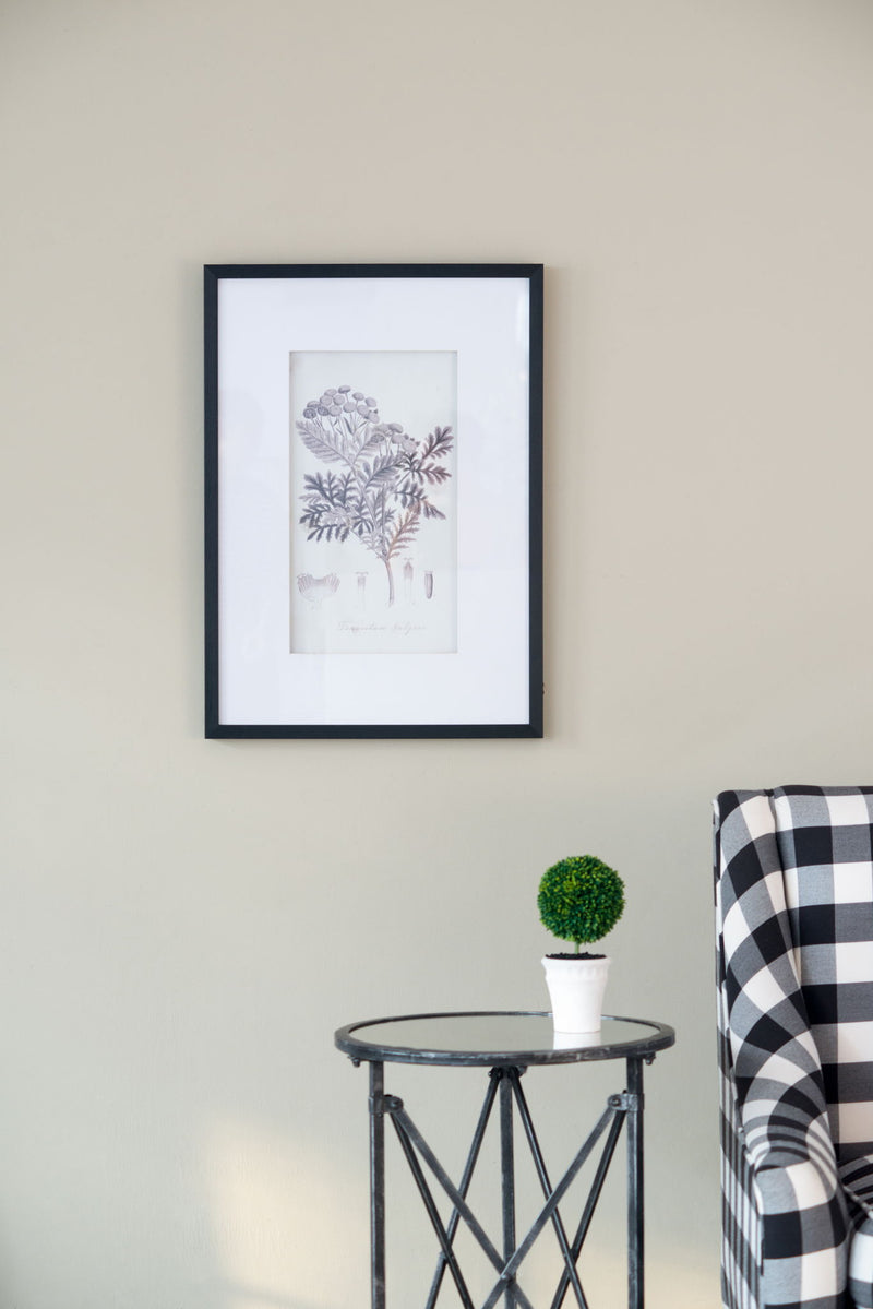Botanical Wall Art Prints, Home Decor For Living Room Dining Room, Bedroom, Hallway (Set of 4) - White / Black