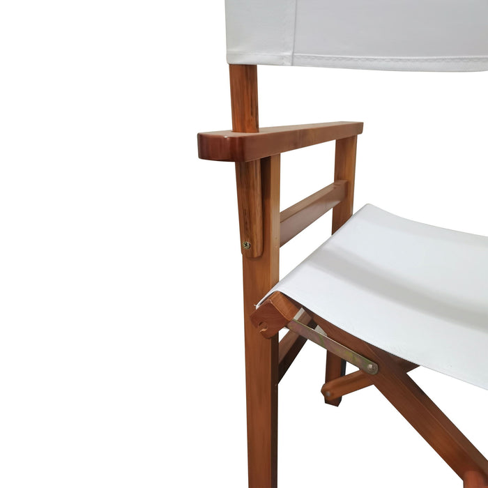 Folding Director Chair