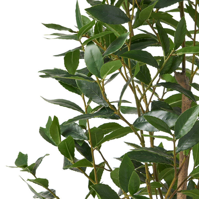 Artificial Laurel Tree