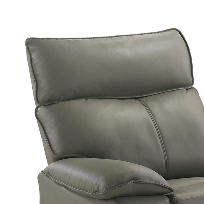 Wildcat Motion Recliner in Aviarah Grey