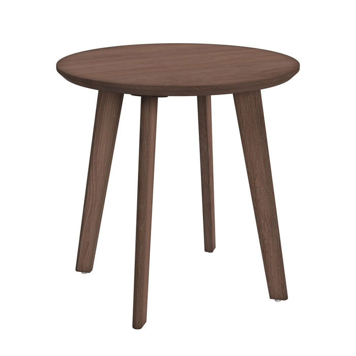 Theo Three Pack Occasional Set with Coffee Table and 2 End Tables in Walnut