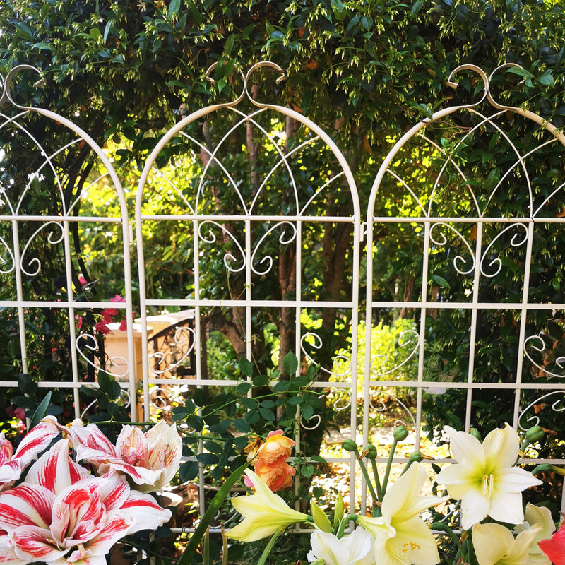 Metal Garden Rustproof Trellis For Climbing Plants Outdoor Flower Support